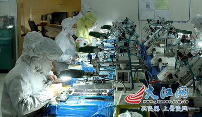 科技創(chuàng)新助跑江西光電升級 寒風(fēng)中的梅花搖曳生姿